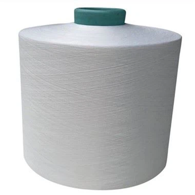 เส้นด้ายที่ปกคลุมสแปนเด็กซ์